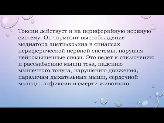 Токсин действует и на периферийную нервную систему. Он тормозит высвобождение медиатора ацетилхолина