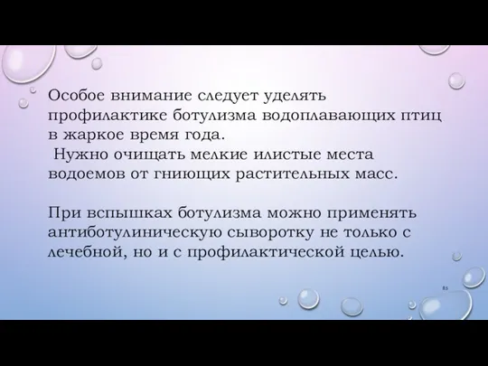 Особое внимание следует уделять профилактике ботулизма водоплавающих птиц в жаркое время года.