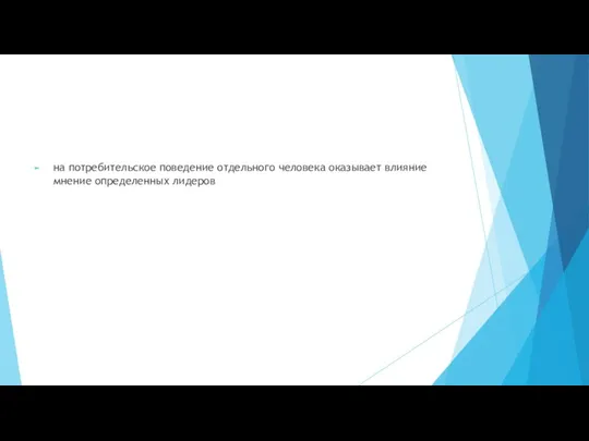 на потребительское поведение отдельного человека оказывает влияние мнение определенных лидеров