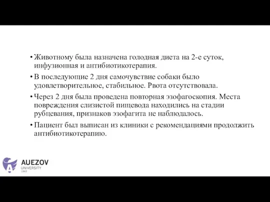 Животному была назначена голодная диета на 2-е суток, инфузионная и антибиотикотерапия. В