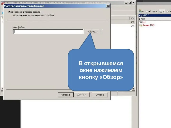 В открывшемся окне нажимаем кнопку «Обзор»