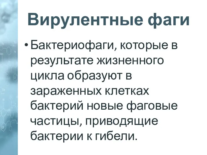 Вирулентные фаги Бактериофаги, которые в результате жизненного цикла образуют в зараженных клетках