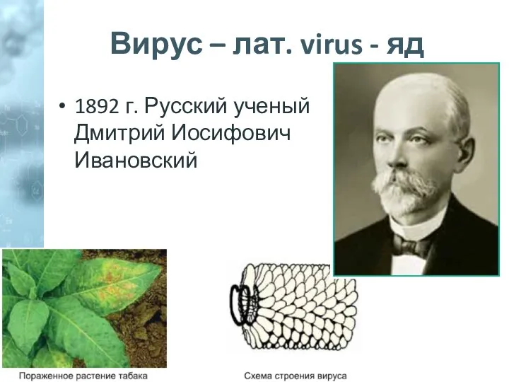 Вирус – лат. virus - яд 1892 г. Русский ученый Дмитрий Иосифович Ивановский