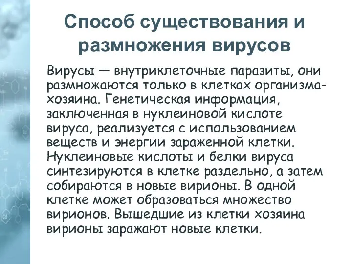 Способ существования и размножения вирусов Вирусы — внутриклеточные паразиты, они размножаются только