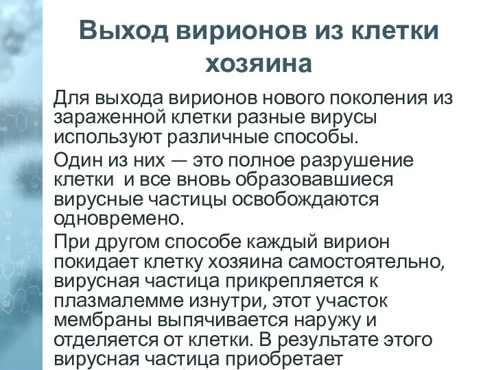 Выход вирионов из клетки хозяина Для выхода вирионов нового поколения из зараженной