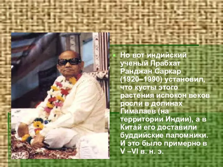 Но вот индийский ученый Прабхат Ранджан Саркар (1920–1990) установил, что кусты этого