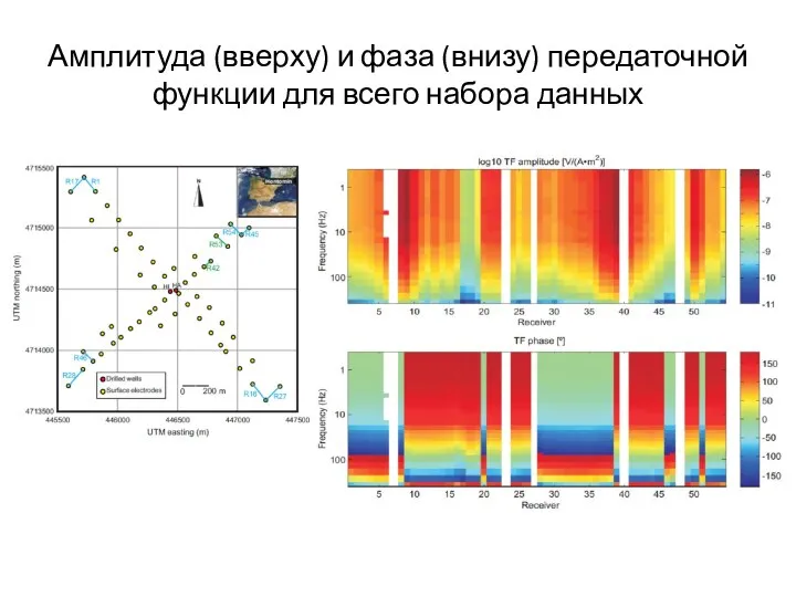Амплитуда (вверху) и фаза (внизу) передаточной функции для всего набора данных
