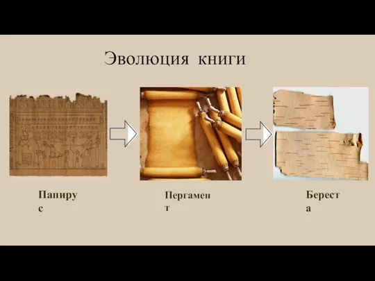 Папирус Пергамент Береста Эволюция книги