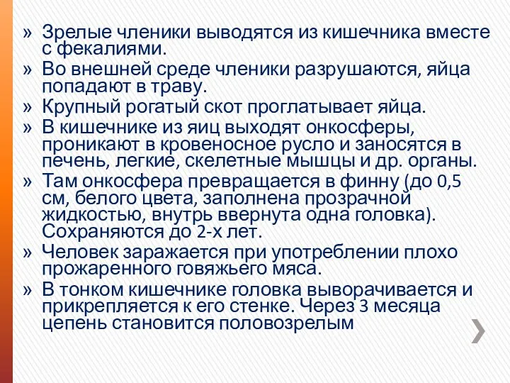 Зрелые членики выводятся из кишечника вместе с фекалиями. Во внешней среде членики