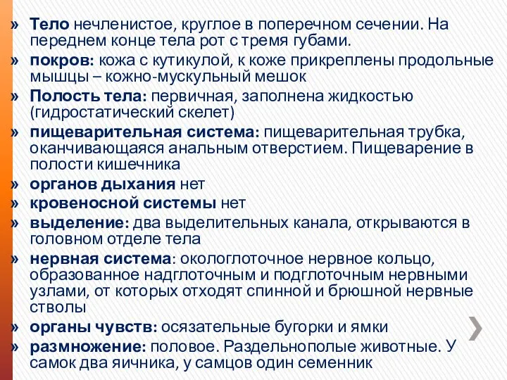 Тело нечленистое, круглое в поперечном сечении. На переднем конце тела рот с