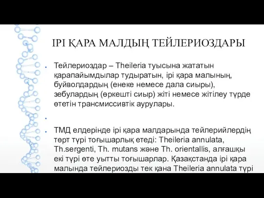 ІРІ ҚАРА МАЛДЫҢ ТЕЙЛЕРИОЗДАРЫ Тейлериоздар – Theileria туысына жататын қарапайымдылар тудыратын, ірі