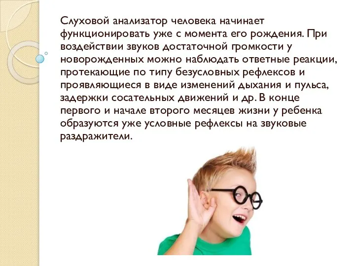 Слуховой анализатор человека начинает функционировать уже с момента его рождения. При воздействии