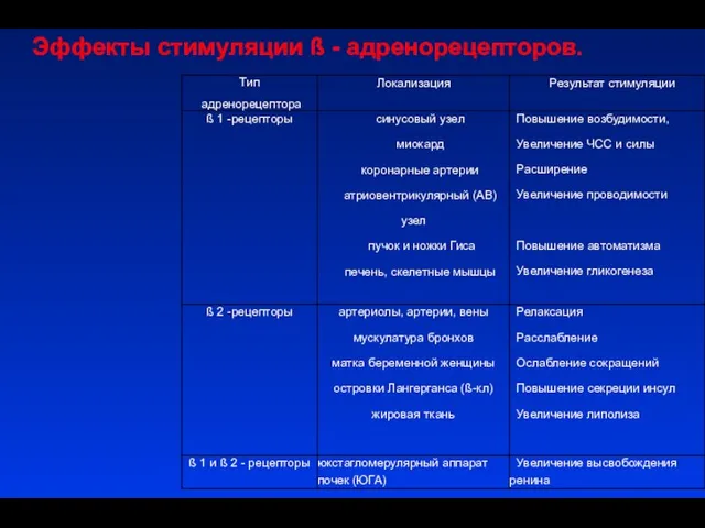 Эффекты стимуляции ß - адренорецепторов.