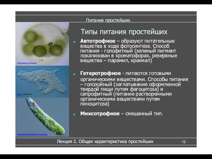 Питание простейших Автотрофное – образуют питательные вещества в ходе фотосинтеза. Способ питания