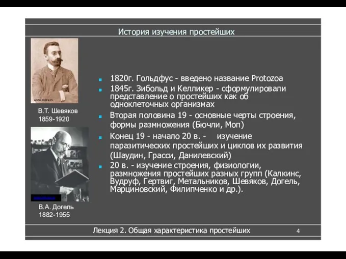 История изучения простейших 1820г. Гольдфус - введено название Protozoa 1845г. Зибольд и