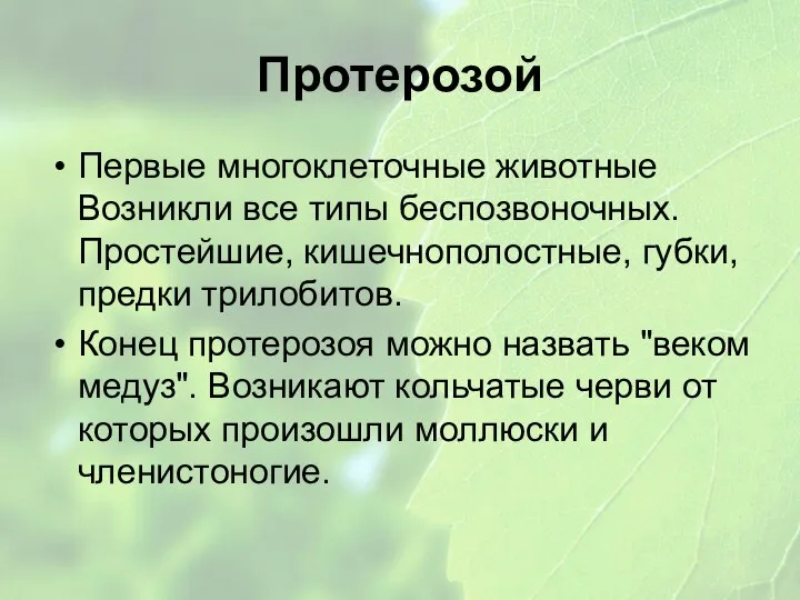 Протерозой Первые многоклеточные животные Возникли все типы беспозвоночных. Простейшие, кишечнополостные, губки, предки