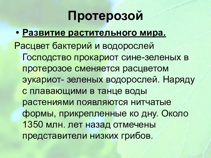 Протерозой Развитие растительного мира. Расцвет бактерий и водорослей Господство прокариот сине-зеленых в