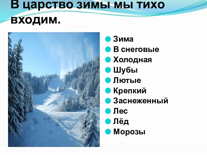 В царство зимы мы тихо входим. Зима В снеговые Холодная Шубы Лютые