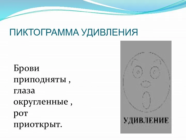 ПИКТОГРАММА УДИВЛЕНИЯ Брови приподняты , глаза округленные , рот приоткрыт.