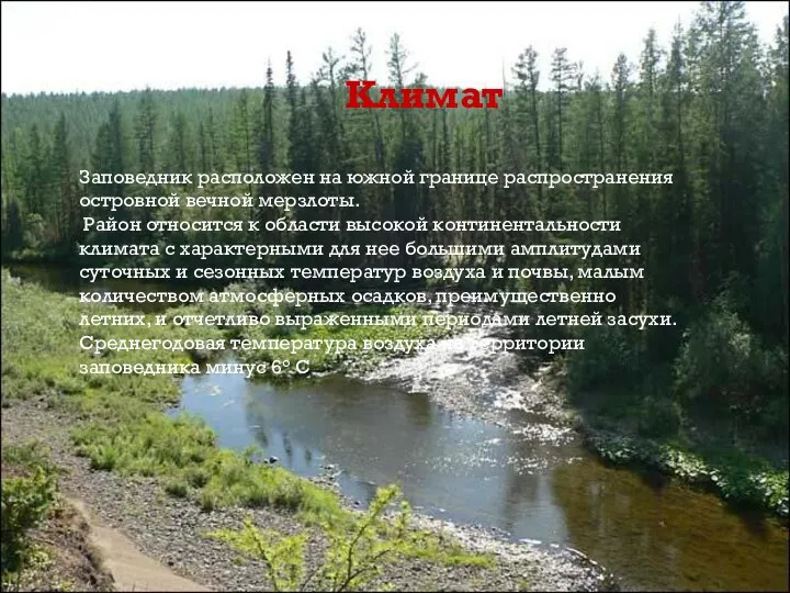 Климат Заповедник расположен на южной границе распространения островной вечной мерзлоты. Район относится