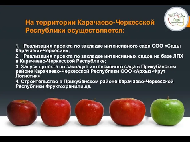 На территории Карачаево-Черкесской Республики осуществляется: 1. Реализация проекта по закладке интенсивного сада