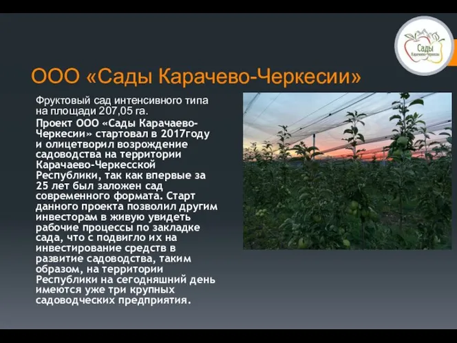 ООО «Сады Карачево-Черкесии» Фруктовый сад интенсивного типа на площади 207,05 га. Проект