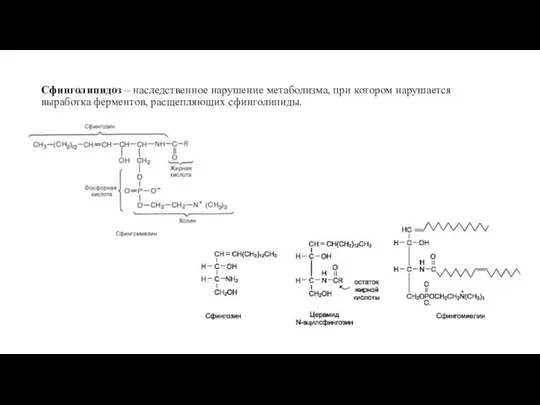 Сфинголипидоз – наследственное нарушение метаболизма, при котором нарушается выработка ферментов, расщепляющих сфинголипиды.