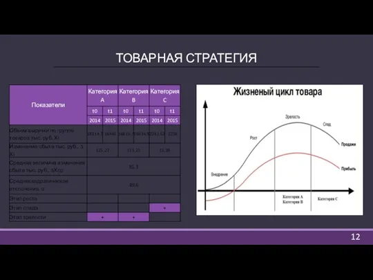 ТОВАРНАЯ СТРАТЕГИЯ 12