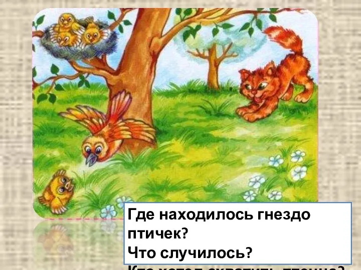 Где находилось гнездо птичек? Что случилось? Кто хотел схватить птенца?