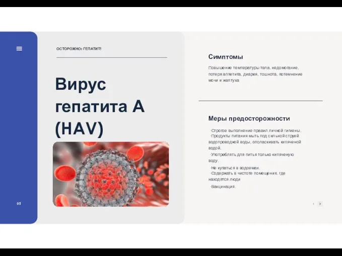 Вирус гепатита А (HAV) 05 Симптомы Повышение температуры тела, недомогание, потеря аппетита,