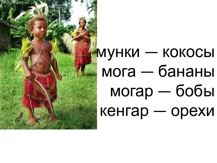 мунки — кокосы мога — бананы могар — бобы кенгар — орехи