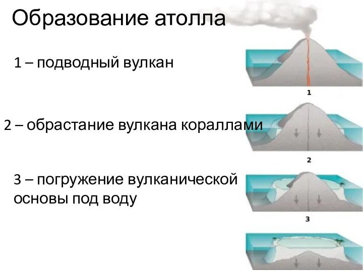 1 – подводный вулкан 2 – обрастание вулкана кораллами 3 – погружение