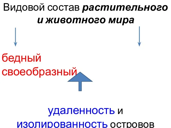 Видовой состав растительного и животного мира бедный своеобразный удаленность и изолированность островов