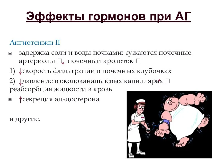 Эффекты гормонов при АГ Ангиотензин II задержка соли и воды почками: сужаются