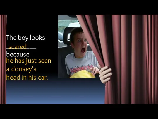 The boy looks _________ because he has just seen a donkey’s head in his car. scared