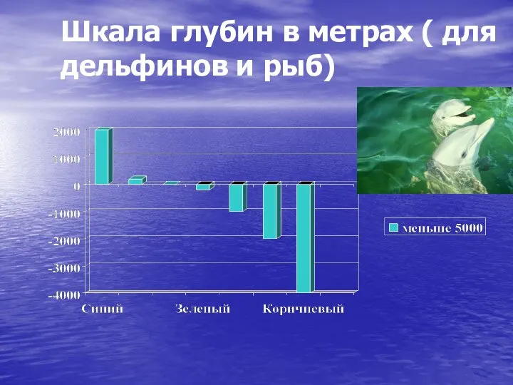 Шкала глубин в метрах ( для дельфинов и рыб)