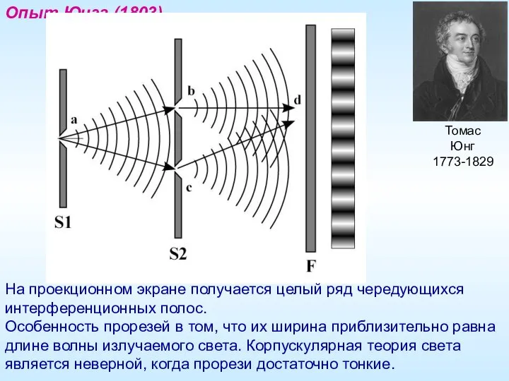 Томас Юнг 1773-1829 Опыт Юнга (1803) На проекционном экране получается целый ряд