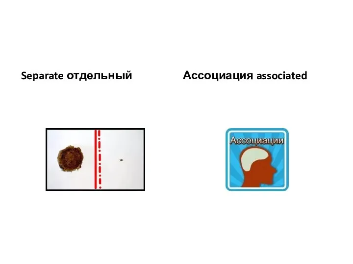 Separate отдельный Ассоциация associated