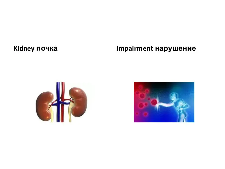 Kidney почка Impairment нарушение