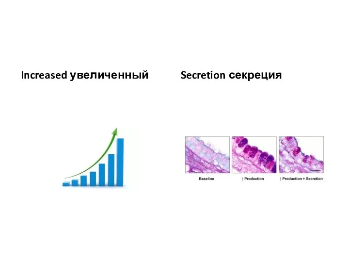 Increased увеличенный Secretion секреция