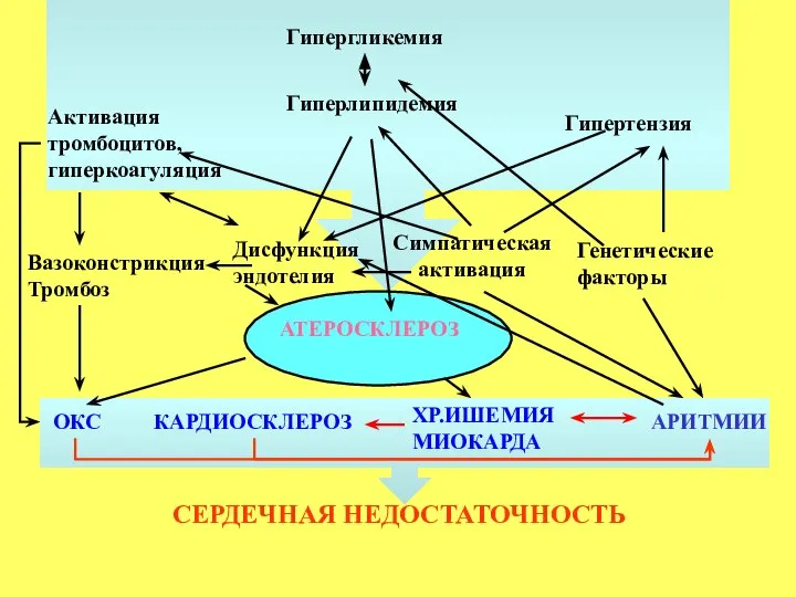 Вазоконстрикция Тромбоз Дисфункция эндотелия Активация тромбоцитов, гиперкоагуляция ОКС АРИТМИИ КАРДИОСКЛЕРОЗ АТЕРОСКЛЕРОЗ Гиперлипидемия