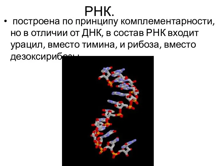 РНК. построена по принципу комплементарности, но в отличии от ДНК, в состав