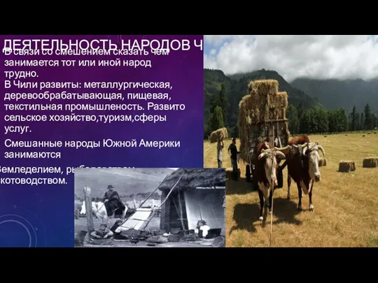 ДЕЯТЕЛЬНОСТЬ НАРОДОВ ЧИЛИ: В связи со смешением сказать чем занимается тот или