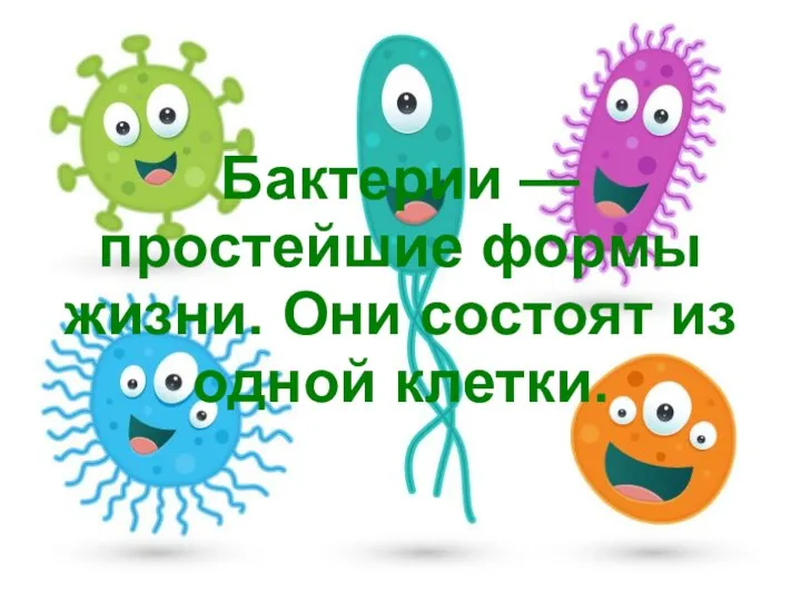 Бактерии — простейшие формы жизни. Они состоят из одной клетки.