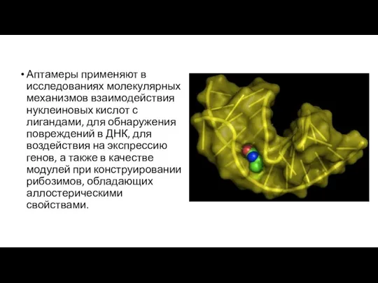 Аптамеры применяют в исследованиях молекулярных механизмов взаимодействия нуклеиновых кислот с лигандами, для