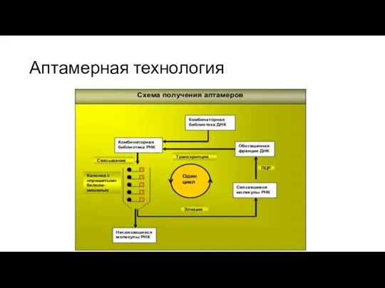 Аптамерная технология