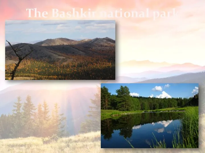 The Bashkir national park