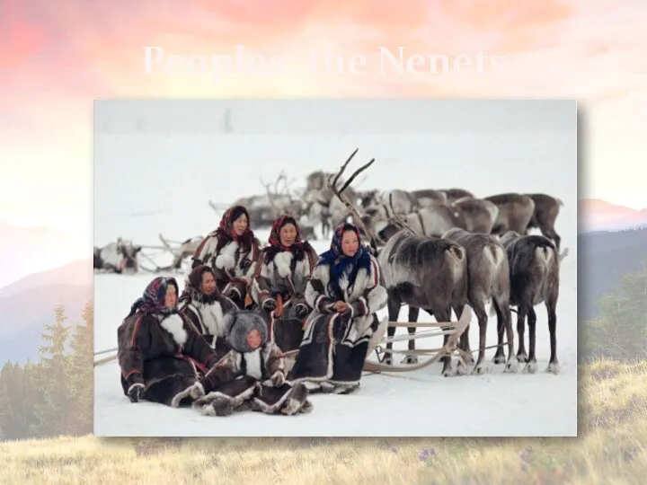 Peoples: the Nenets