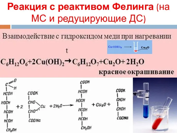 Реакция с реактивом Фелинга (на МС и редуцирующие ДС)