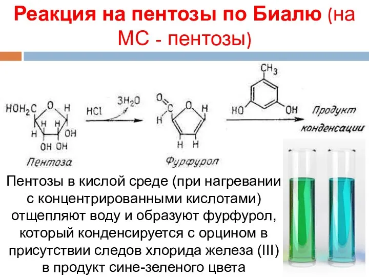 Реакция на пентозы по Биалю (на МС - пентозы) Пентозы в кислой